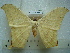  ( - BC-EST0757)  @13 [ ] Copyright (2010) Unspecified Research Collection of Yves Estradel