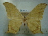  ( - BC-EST0759)  @14 [ ] Copyright (2010) Unspecified Research Collection of Yves Estradel