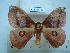  ( - BC-EST0785)  @13 [ ] Copyright (2010) Unspecified Research Collection of Yves Estradel