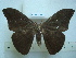 ( - BC-EST0786)  @14 [ ] Copyright (2010) Unspecified Research Collection of Yves Estradel