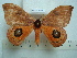  ( - BC-EST0792)  @13 [ ] Copyright (2010) Unspecified Research Collection of Yves Estradel