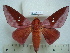  ( - BC-EST0796)  @13 [ ] Copyright (2010) Unspecified Research Collection of Yves Estradel