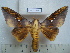  ( - BC-EST0798)  @14 [ ] Copyright (2010) Unspecified Research Collection of Yves Estradel