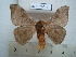  ( - BC-EST0819)  @13 [ ] Copyright (2010) Unspecified Research Collection of Yves Estradel