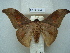 ( - BC-EST0679)  @14 [ ] Copyright (2010) Unspecified Research Collection of Yves Estradel