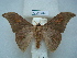  ( - BC-EST0685)  @14 [ ] Copyright (2010) Unspecified Research Collection of Yves Estradel