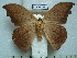  ( - BC-EST0746)  @13 [ ] Copyright (2010) Unspecified Research Collection of Yves Estradel