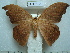  ( - BC-EST0747)  @13 [ ] Copyright (2010) Unspecified Research Collection of Yves Estradel