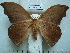  ( - BC-EST0748)  @13 [ ] Copyright (2010) Unspecified Research Collection of Yves Estradel