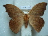  ( - BC-EST0750)  @13 [ ] Copyright (2010) Unspecified Research Collection of Yves Estradel