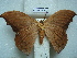  ( - BC-EST0752)  @13 [ ] Copyright (2010) Unspecified Research Collection of Yves Estradel