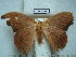  ( - BC-EST0753)  @13 [ ] Copyright (2010) Unspecified Research Collection of Yves Estradel