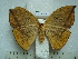  ( - BC-EST0754)  @13 [ ] Copyright (2010) Unspecified Research Collection of Yves Estradel
