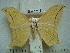  ( - BC-EST0755)  @13 [ ] Copyright (2010) Unspecified Research Collection of Yves Estradel
