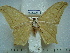  ( - BC-EST0757)  @13 [ ] Copyright (2010) Unspecified Research Collection of Yves Estradel
