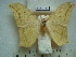  ( - BC-EST0758)  @13 [ ] Copyright (2010) Unspecified Research Collection of Yves Estradel