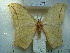  ( - BC-EST0759)  @13 [ ] Copyright (2010) Unspecified Research Collection of Yves Estradel