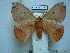  ( - BC-EST0785)  @14 [ ] Copyright (2010) Unspecified Research Collection of Yves Estradel