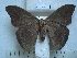  ( - BC-EST0786)  @13 [ ] Copyright (2010) Unspecified Research Collection of Yves Estradel