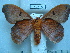  ( - BC-EST0788)  @13 [ ] Copyright (2010) Unspecified Research Collection of Yves Estradel