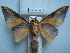  ( - BC-EST0798)  @14 [ ] Copyright (2010) Unspecified Research Collection of Yves Estradel