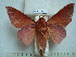  ( - BC-EST0814)  @13 [ ] Copyright (2010) Unspecified Research Collection of Yves Estradel