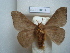  ( - BC-EST0819)  @13 [ ] Copyright (2010) Unspecified Research Collection of Yves Estradel