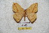  ( - BC-RBP 5648)  @11 [ ] Copyright (2010) Ron Brechlin Research Collection of Ron Brechlin