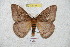 ( - BC-RBP 5927)  @14 [ ] Copyright (2010) Ron Brechlin Research Collection of Ron Brechlin