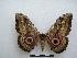  ( - PD-BC-1529)  @13 [ ] Copyright (2010) Unspecified Research Collection of Philippe Darge