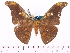  ( - BC-ULP0032)  @14 [ ] Copyright (2010) Unspecified Research Collection of Ulrich and Laela Paukstadt