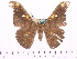  ( - BC-ULP0033)  @12 [ ] Copyright (2010) Unspecified Research Collection of Ulrich and Laela Paukstadt