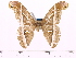  ( - BC-ULP0080)  @11 [ ] Copyright (2010) Unspecified Research Collection of Ulrich and Laela H. Paukstadt