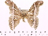 ( - BC-ULP0082)  @12 [ ] Copyright (2010) Unspecified Research Collection of Ulrich and Laela H. Paukstadt