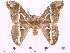 ( - BC-ULP0084)  @13 [ ] Copyright (2010) Unspecified Research Collection of Ulrich and Laela H. Paukstadt