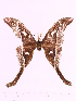  ( - BC-ULP0191)  @13 [ ] Copyright (2010) Unspecified Research Collection of Ulrich and Laela H. Paukstadt
