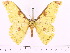  ( - BC-ULP0292)  @14 [ ] Copyright (2010) Unspecified Research Collection of Ulrich and Laela H. Paukstadt