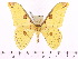  ( - BC-ULP0297)  @15 [ ] Copyright (2010) Unspecified Research Collection of Ulrich and Laela H. Paukstadt