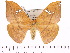  ( - BC-ULP0348)  @14 [ ] Copyright (2010) Unspecified Research Collection of Ulrich and Laela H. Paukstadt