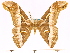  ( - BC-ULP0420)  @13 [ ] Copyright (2010) Unspecified Research Collection of Ulrich and Laela H. Paukstadt