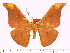  ( - BC-ULP0426)  @14 [ ] Copyright (2010) Unspecified Research Collection of Ulrich and Laela H. Paukstadt