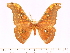  ( - BC-ULP0443)  @11 [ ] Copyright (2010) Unspecified Research Collection of Ulrich and Laela H. Paukstadt
