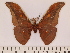  ( - BC-ULP0597)  @12 [ ] Copyright (2010) Unspecified Research Collection of Ulrich and Laela H. Paukstadt