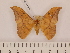  ( - BC-ULP0639)  @13 [ ] Copyright (2010) Unspecified Research Collection of Ulrich and Laela H. Paukstadt
