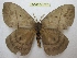  ( - BC-EvS 2577)  @14 [ ] Copyright (2012) Eric van Schayck Research Collection of Eric Van Schayck