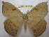  ( - BC-EvS 0033)  @11 [ ] Copyright (2010) Unspecified Research Collection of Eric Van Schayck
