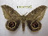  ( - BC-EvS 0046)  @14 [ ] Copyright (2010) Unspecified Research Collection of Eric Van Schayck