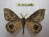  ( - BC-EvS 0056)  @13 [ ] Copyright (2010) Unspecified Research Collection of Eric Van Schayck