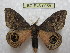  ( - BC-EvS 0058)  @14 [ ] Copyright (2010) Unspecified Research Collection of Eric Van Schayck