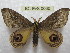  ( - BC-EvS 0060)  @14 [ ] Copyright (2010) Unspecified Research Collection of Eric Van Schayck